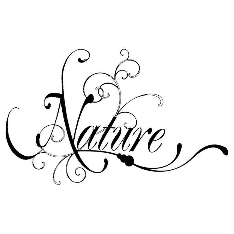 #2065 - Nature - Nature